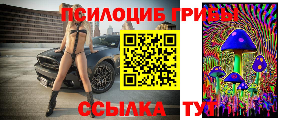 Галлюциногенные грибы Psilocybe Дивногорск